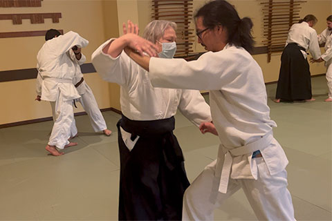 Students practicing aikido techniques in pairs