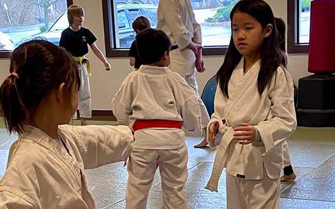 Why Aikido is the Perfect Activity for Your Child