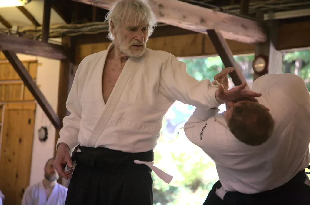 Fall Aikido Seminar – Registration Now Open!