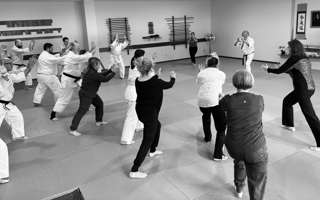 4-Week Aikido Intro Program