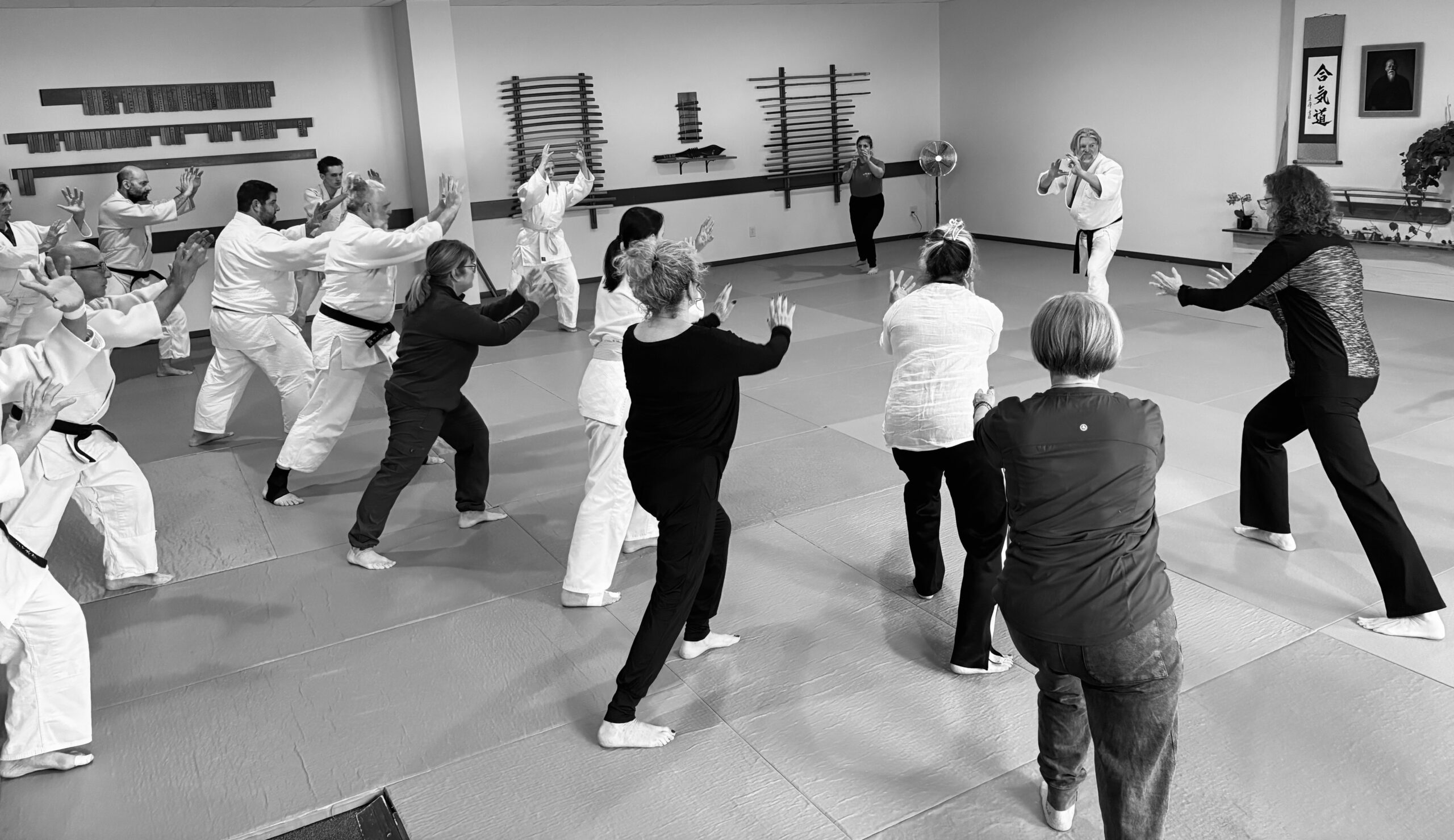 4-Week Aikido Intro Program